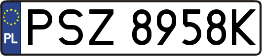 PSZ8958K
