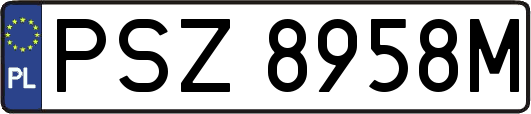 PSZ8958M