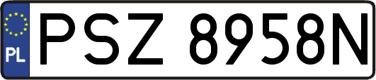 PSZ8958N