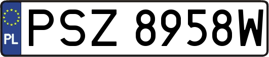 PSZ8958W
