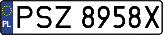 PSZ8958X