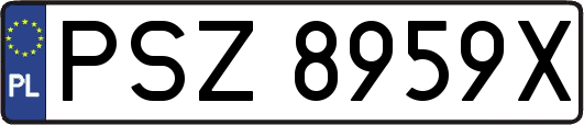 PSZ8959X