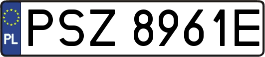 PSZ8961E