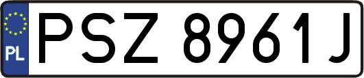 PSZ8961J