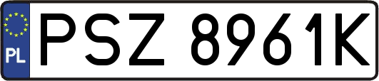 PSZ8961K