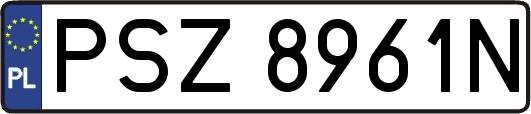 PSZ8961N