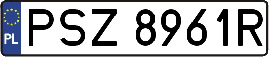 PSZ8961R