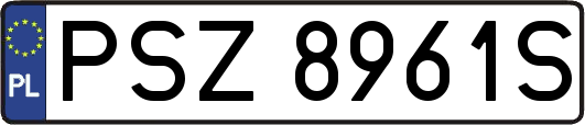 PSZ8961S