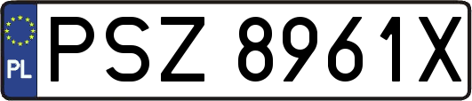 PSZ8961X