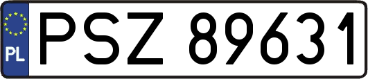 PSZ89631