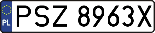 PSZ8963X