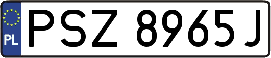PSZ8965J
