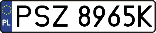 PSZ8965K