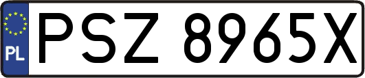 PSZ8965X