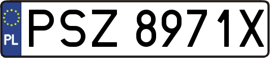 PSZ8971X
