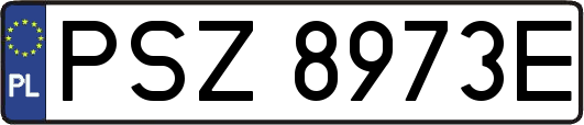 PSZ8973E
