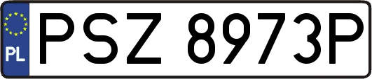 PSZ8973P