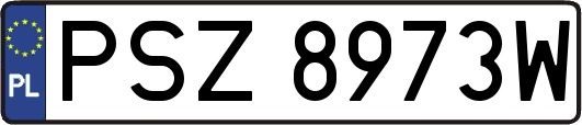 PSZ8973W