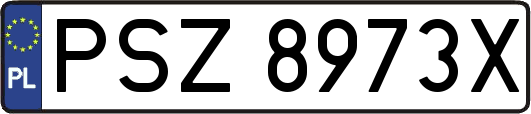 PSZ8973X