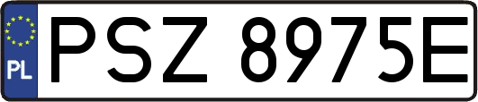 PSZ8975E