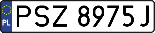 PSZ8975J