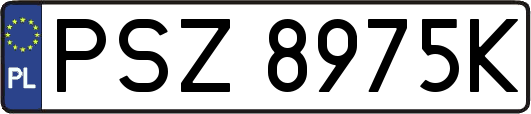 PSZ8975K