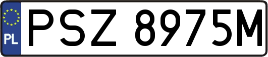 PSZ8975M
