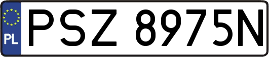 PSZ8975N