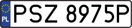PSZ8975P
