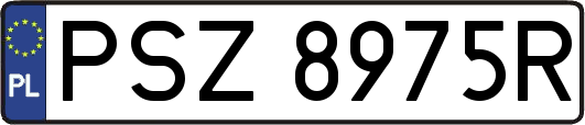 PSZ8975R