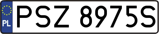 PSZ8975S
