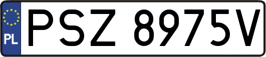 PSZ8975V