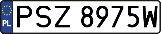 PSZ8975W