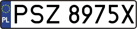PSZ8975X
