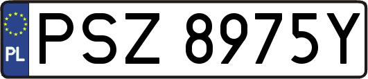 PSZ8975Y