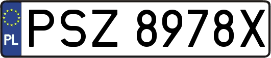 PSZ8978X