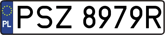 PSZ8979R
