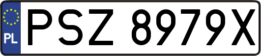PSZ8979X