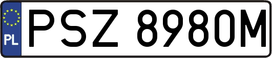 PSZ8980M