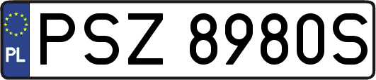 PSZ8980S