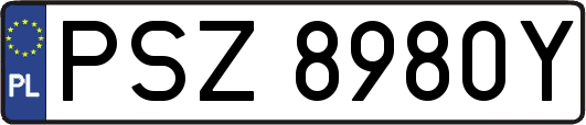 PSZ8980Y