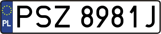 PSZ8981J