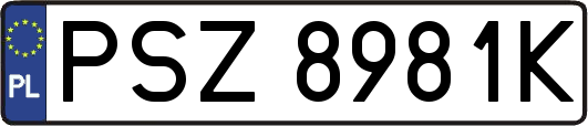 PSZ8981K