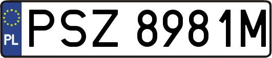 PSZ8981M