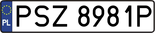 PSZ8981P