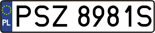 PSZ8981S