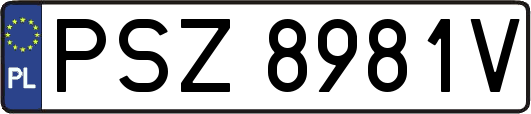 PSZ8981V