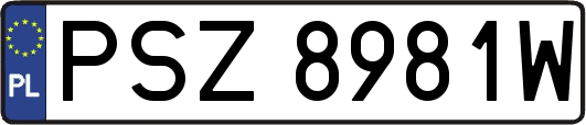 PSZ8981W