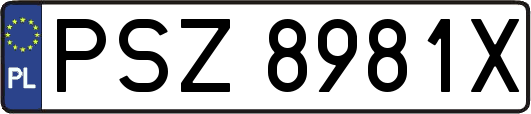 PSZ8981X