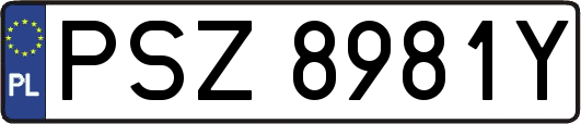 PSZ8981Y